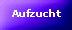 Die Welpen- Aufzucht in Wort und Bild... hier klicken!