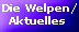 Alles Wichtige und Aktuelle auf dieser Seite... hier klicken!