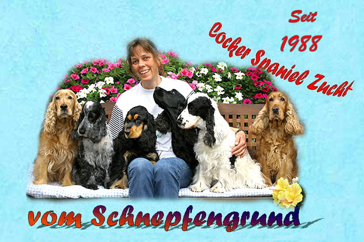 Neues und Wissenswertes...hier klicken !